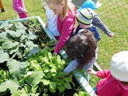 Zahradničíme ve školce